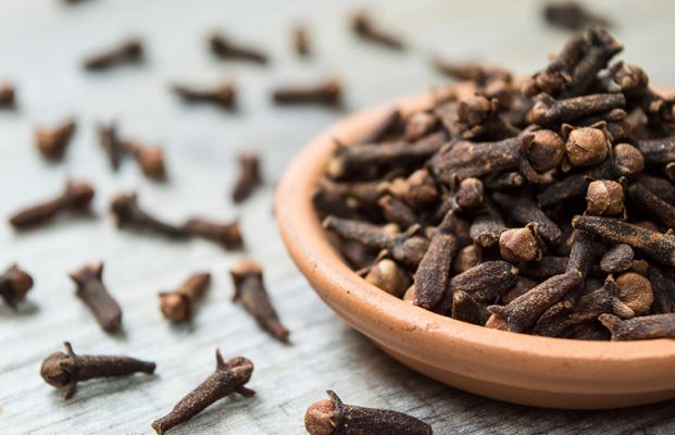 meo-chua-hoi-mieng-7